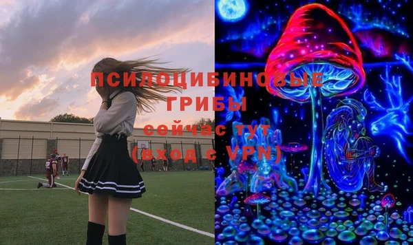 скорость Алексин