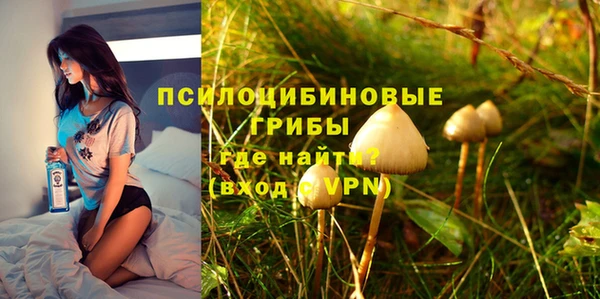амф Алзамай