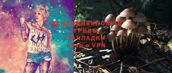 амф Алзамай