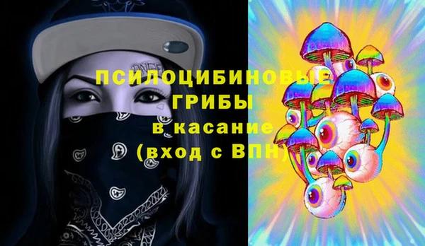 шишки Алексеевка