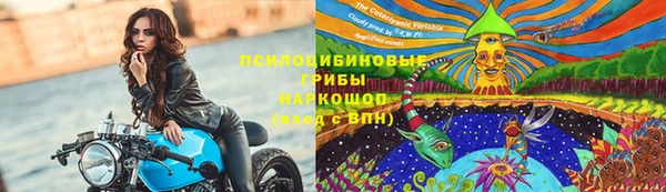 Альфа ПВП Приозерск